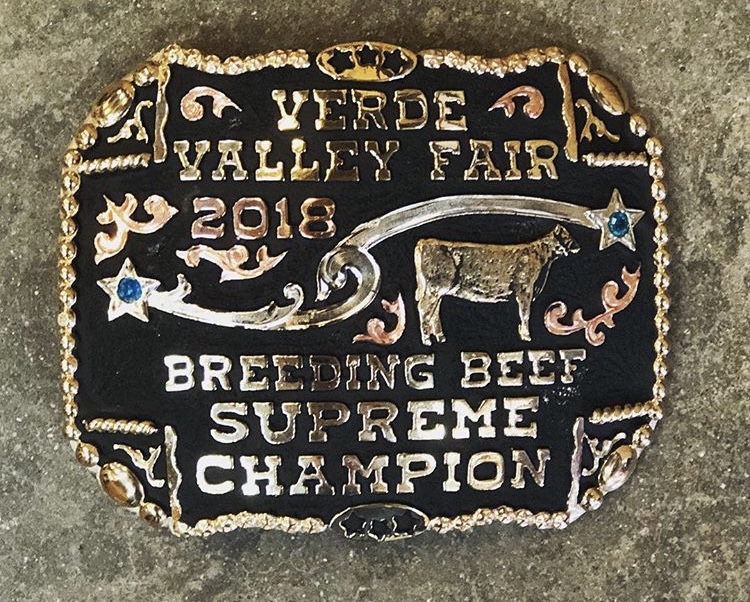 IN STOCK SHOWMAN CHAMPION- Showing trophy buckles on-time for your